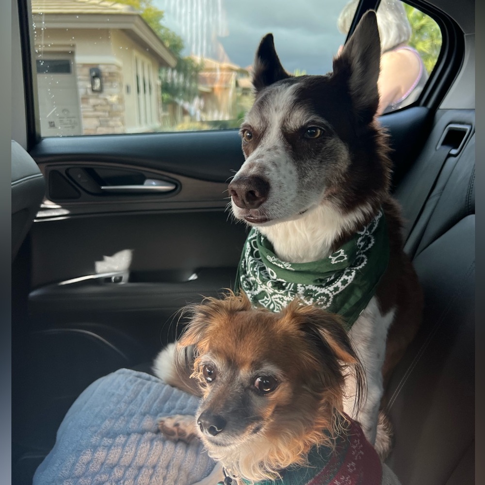 Meet your Posher, Katherine